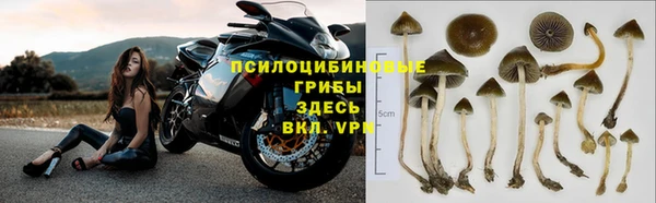 ешки Абдулино