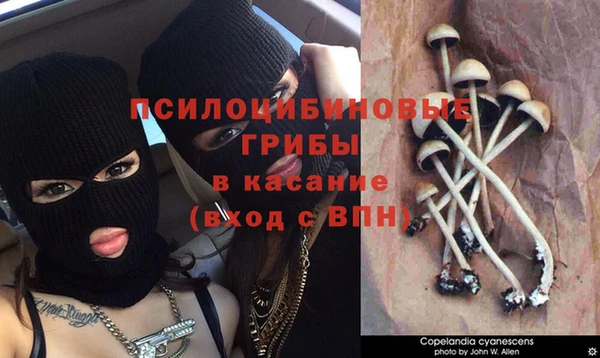 наркотики Абаза