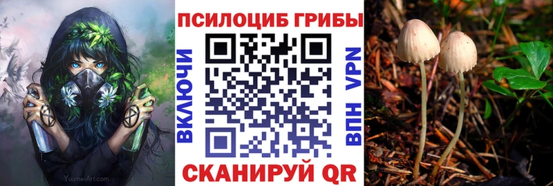 Псилоцибиновые грибы Psilocybe Дятьково